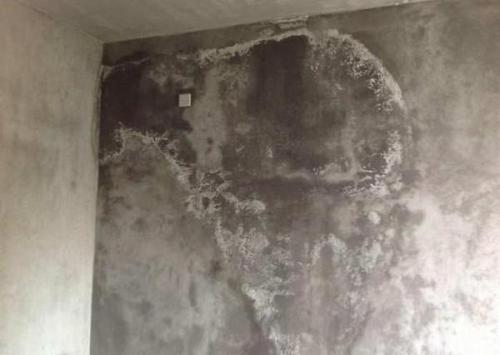 墻面返堿是什么原因， 墻面返堿如何預(yù)防?