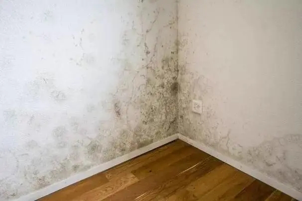 墻面返潮發(fā)霉怎么處理?這些小技巧來幫你!