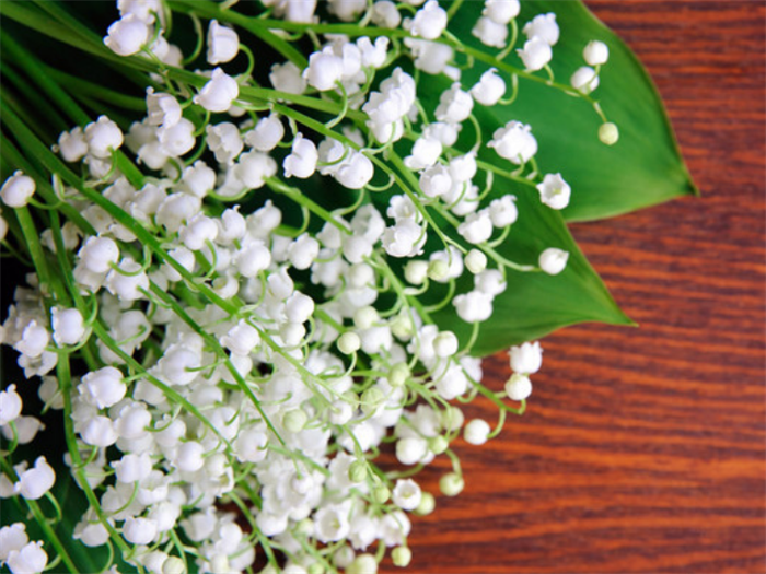 板材環(huán)保標(biāo)準(zhǔn)是什么，板材環(huán)保標(biāo)準(zhǔn)有哪些實(shí)用價(jià)值?